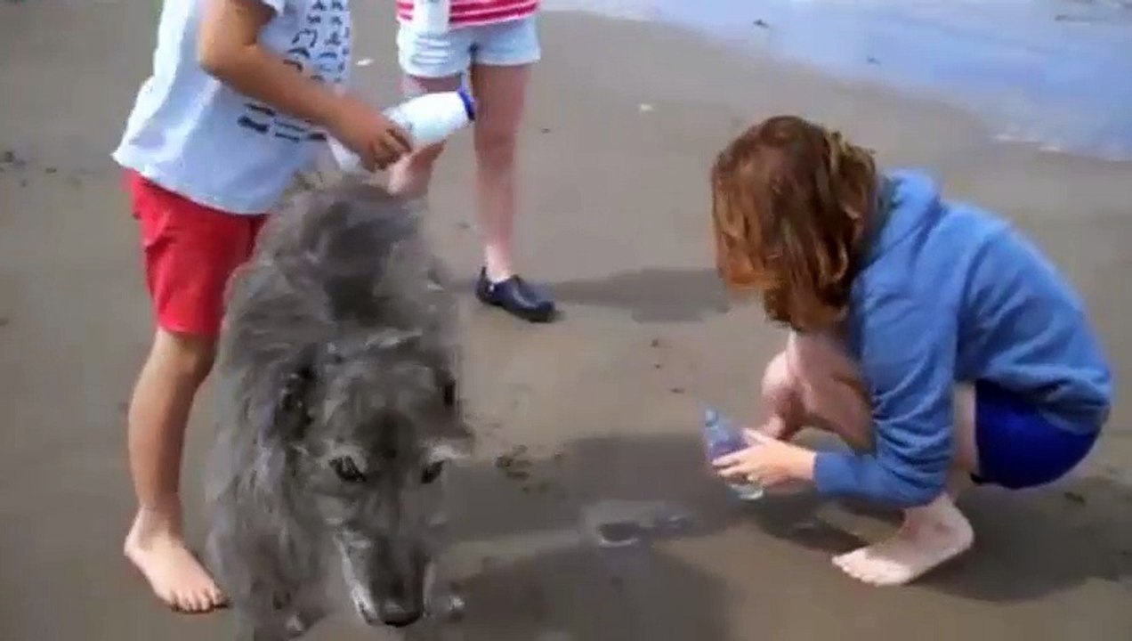Cette maman verse du sel sur le sable de la plage. La créature qui en sort est écoeurante!