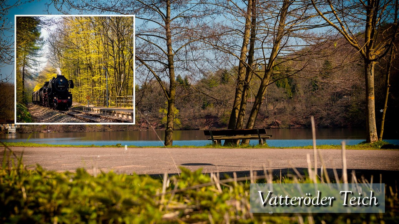 Frühling am Vatteröder Teich