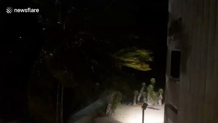 Powerful wind as Cyclone Cook hits New Caledonia