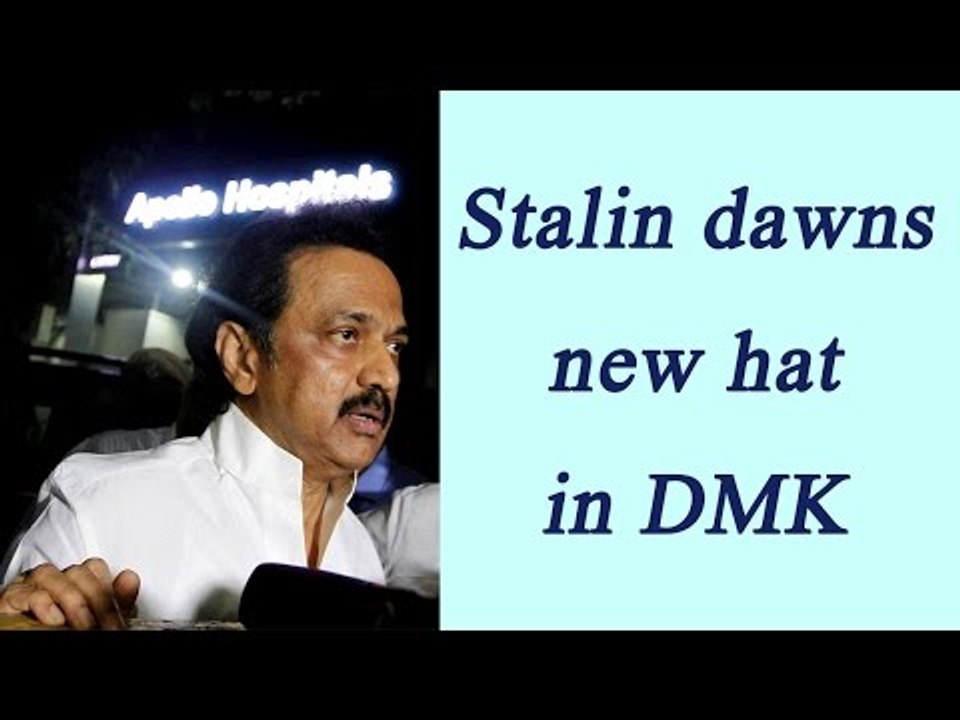MK Stalin appointed as DMK working President | Oneindia News