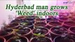 Hyderabad man caught growing 'Marijuana' inside his house, Watch Video | Oneindia News