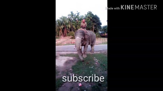 Untitled 10 1280x720 3.78Mbps 2017-04-12 13-16-29