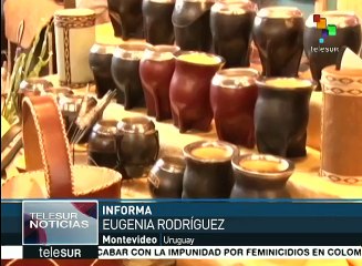 Uruguay: jineteadas de Semana Criolla genera críticas de animalistas