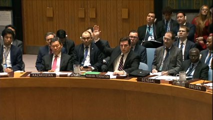 Attaque chimique en Syrie: la Russie pose son veto à l'Onu