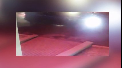 Cuando un ciervo te embiste y nadie te cree