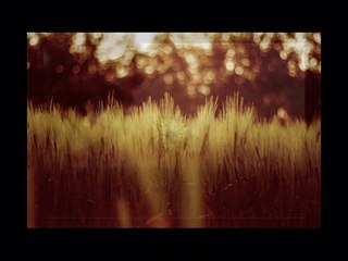 mesut kurtis sübhanallah