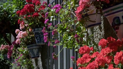 E-Bike oder Pedelec? Wo ist der Unterschied?