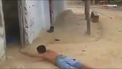 Кога одиш да го прошеташ ѕверот низ град