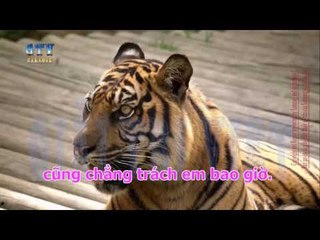 { KARAOKE } Cái Tát -  Xuân Hạ