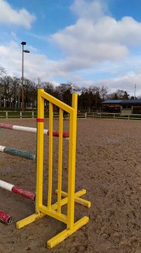 Vente de jument PS de 7ans, Zantafix