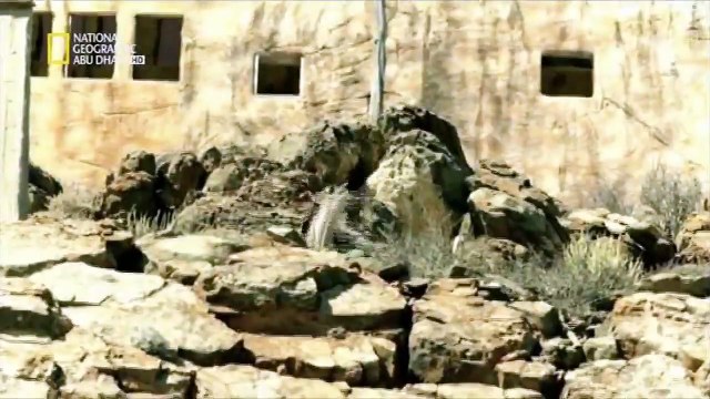 ناشونال جيوغرافيك ابو ظبي HD حتي اخر جندي _ العرض الخامس