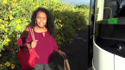 Una isla rica en colores - projet clg Albert Lougnon