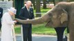Queen Elizabeth Meets Baby Elephant Named After Her