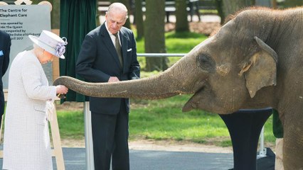 Queen Elizabeth Meets Baby Elephant Named After Her