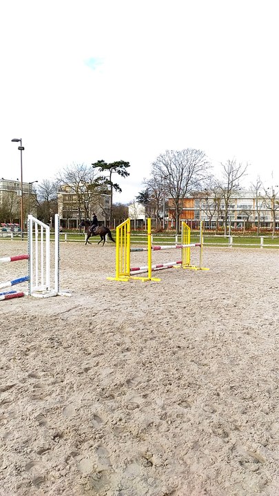 Vente de jument PS de 7ans, Zantafix