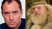 Jude Law será Dumbledore en 'Animales fantásticos 2'