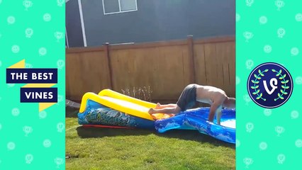 Funny Weird Bad Parents Fails Compilation - The Best Vines 2017