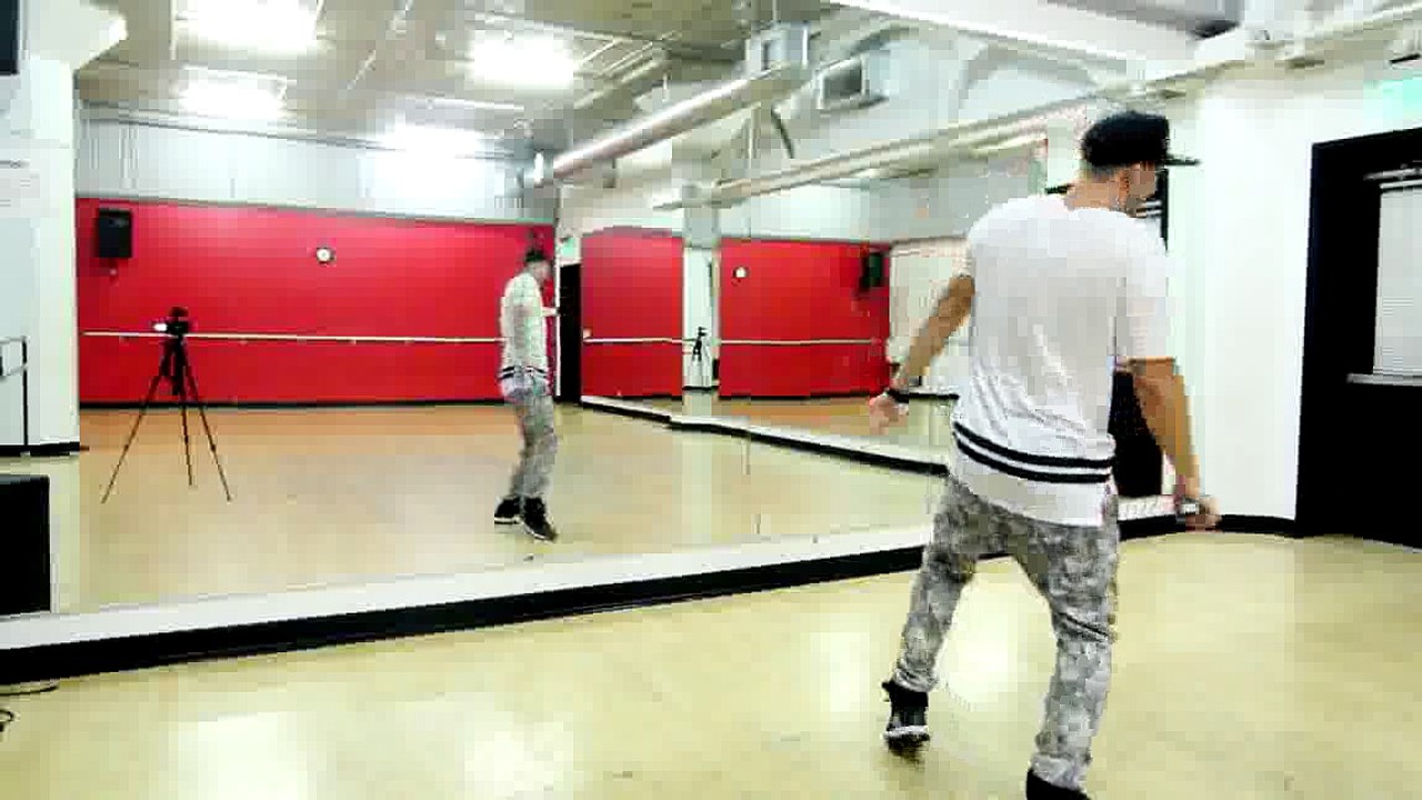 AYO Chris Brown & Tyga Dance TUTORIAL |MattSteffanina Choreography