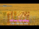 { Karaoke } Cào Cào Lá Tre   Phan Đinh Tùng