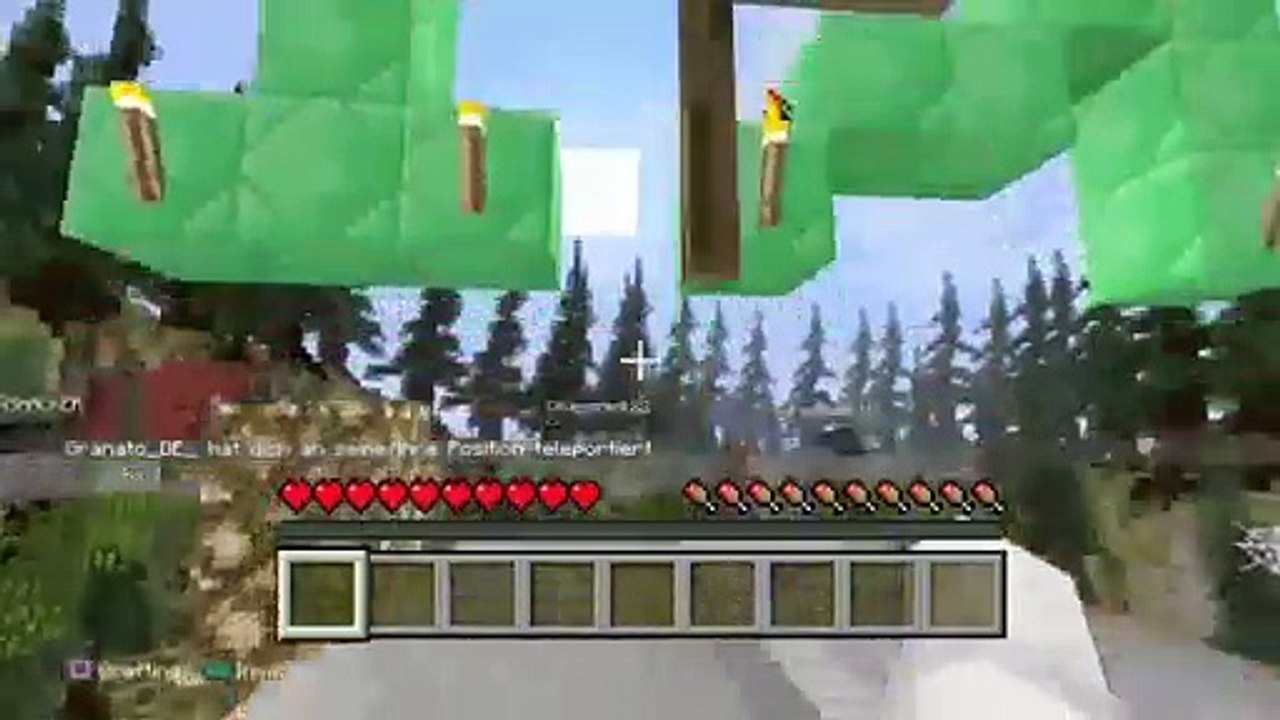 Minecraft (31)