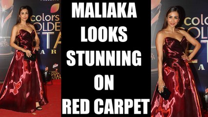 Golden Petal Awards 2017: Malaika Arora's SUPER HOT avatar; Watch video | FilmiBeat