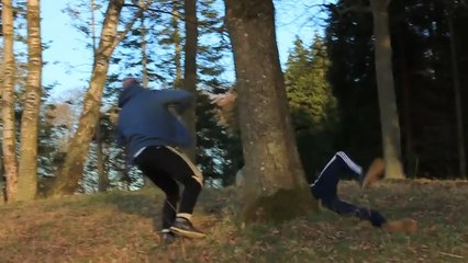 Breaking a Log In Half Goes Wrong