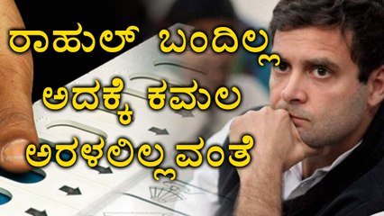 Nanjangud & Gundlupet By Election: Social Media Reaction On Congress Victory | Oneindia Kannada