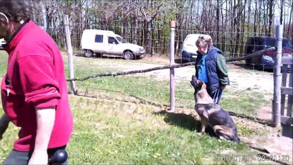 Fantazia entrainement brevet ring 04 17