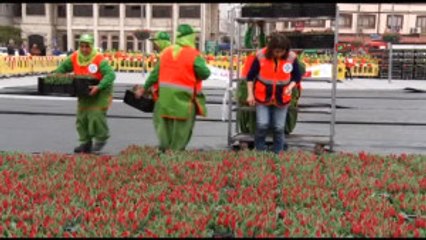 Konya Erdoğan, Konya'da Lalelerden Yapılan Türk Bayrağıyla Karşılanacak