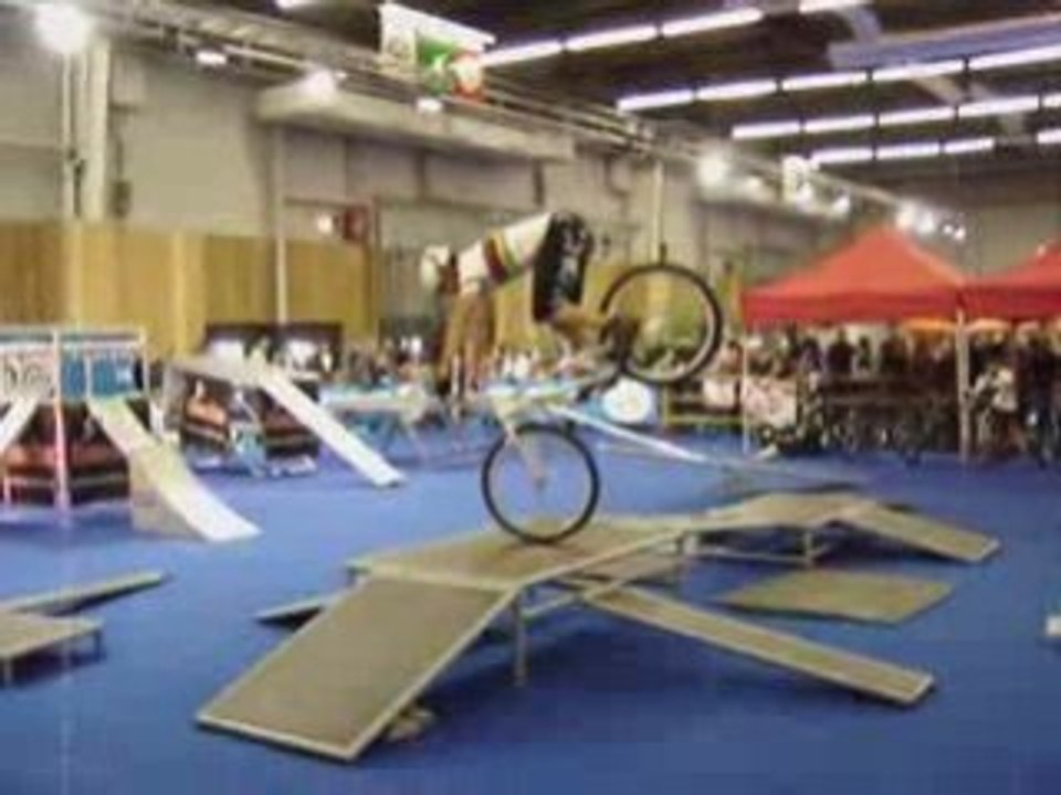 VTT Trial Mondial Du 2 Roues 2007 Acrobike