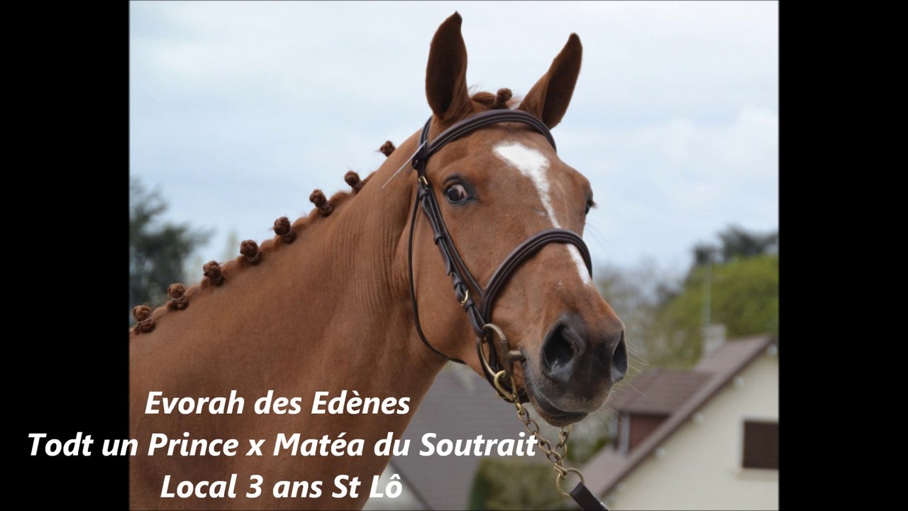 Evorah des Edènes Local 3ans St Lô