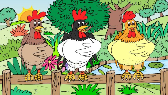 TRÊS GALOS TENORES - Clip Infantil