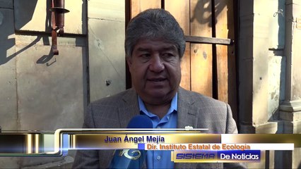 IEC planea construir un parque fotovoltaico en los terresnos de tekchem