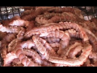 Palermo - Frattaglie animali, sequestrato laboratorio abusivo di "stigghiole" (13.04.17)
