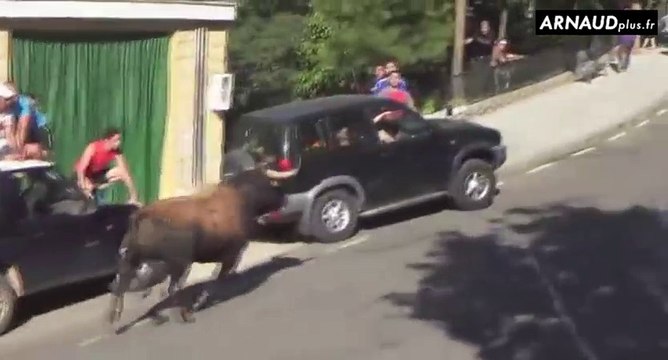 Un taureau explose littéralement un 4x4