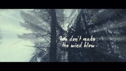 The Common Linnets - We Don’t Make The Wind Blow