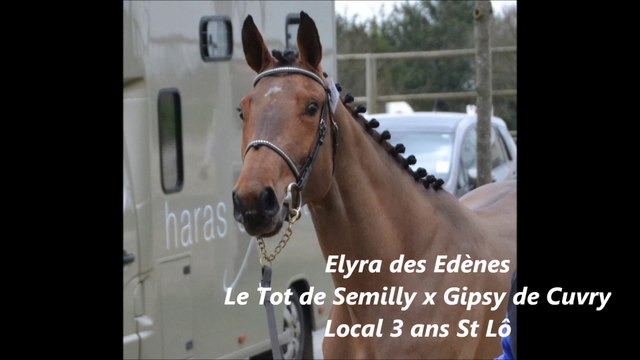 Elyra des Edènes Local 3 ans St Lô