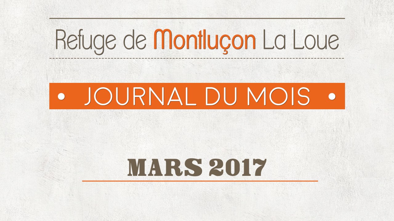 Un mois au refuge : mars 2017