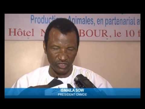 Les éleveurs Sénégalais perdent plus de 2 milliards Cfa par an dans le vol de bétails