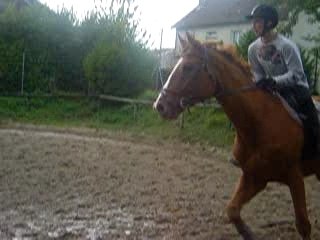 PARCOURS CSO NEMO