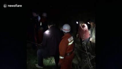 Firefighters rescue cattle trapped in bog