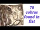 Pune : 70 cobras seized from residential apartment, Watch Video | Oneindia News