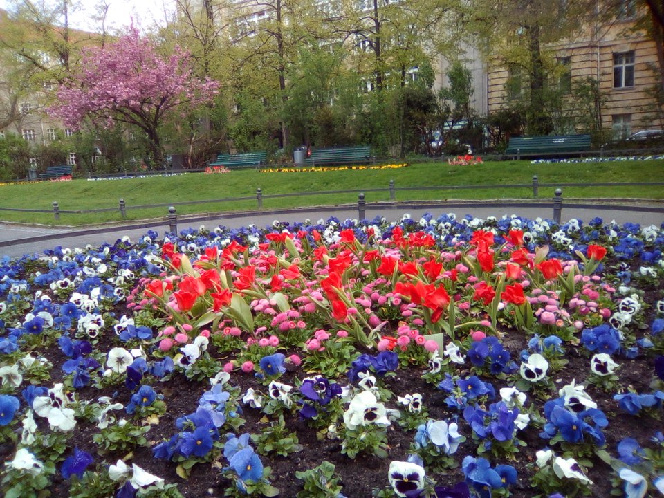 So ist der Frühling