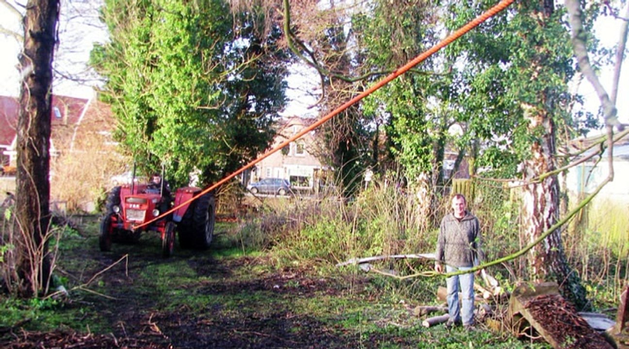 DE WEERT IN 2011