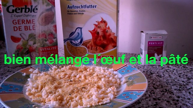 Préparation pâté D'élevage Pour Canari