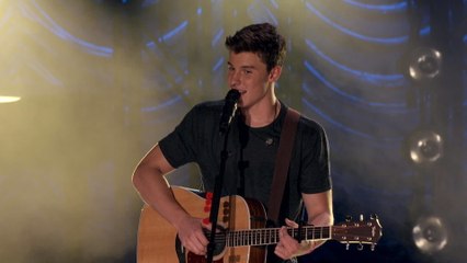 Shawn Mendes - Life Of The Party (Live From The Greek Theatre, LA / 2015)