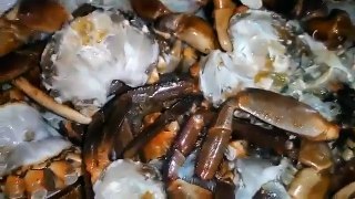 How To Cook Mud Crab Village Style Catch And Cook Crab Awesome Crab Recipe Must Watch Vi-OkbQOIR2NXY