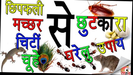 छिपकिली, मच्छर, चीटियों,चूहे, कॉकरोच,भगाने के घरेली उपाय- home remedies to get rid of Insects.