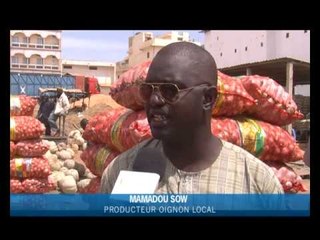 L'oignon local se fait désirer sur le marché, conséquence les prix ont flambé