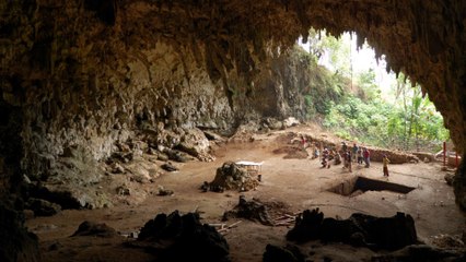 L'ODYSSEE DE NEANDERTHAL PAR CIDJI 2016 HD